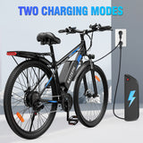 RAYZEPH S29 PRO 29" VTT électrique 1000W Moteur 48V 21Ah Batterie