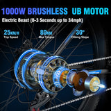 RAYZEPH S29 PRO 29" VTT électrique 1000W Moteur 48V 21Ah Batterie