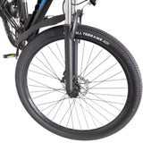 RIDSTAR S29 Pro 29" Vélo de montagne électrique 1000W Moteur 48V 15,6Ah Batterie