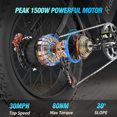 RIDSTAR Q20 20" Fat Tires Vélo électrique 1000W Moteur 48V 20Ah Batterie
