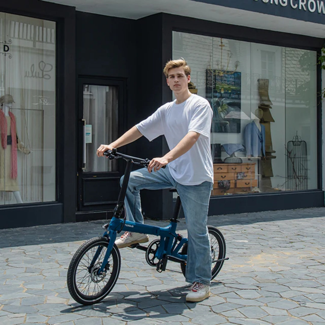 TEZEUS Swift 20" Vélo Électrique Pliant 250W Moteur 36V 7Ah Batterie