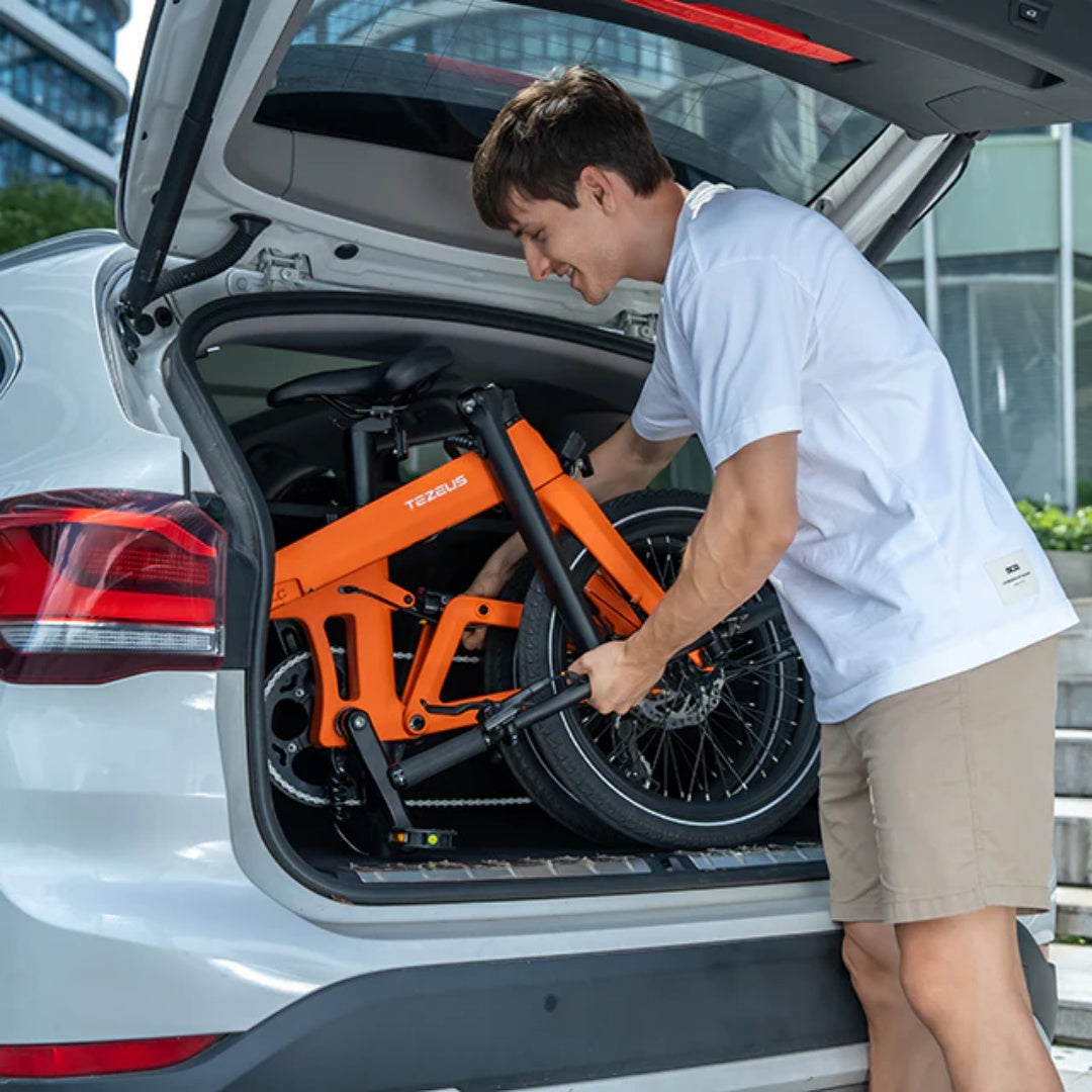 TEZEUS Swift 20" Vélo Électrique Pliant 250W Moteur 36V 7Ah Batterie