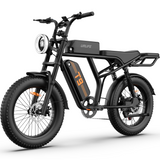 URLIFE T9 20" Vélo électrique tout-terrain 250W Moteur 48V 15.6Ah Batterie