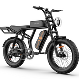 URLIFE T9 20" Vélo électrique tout-terrain 250W Moteur 48V 15.6Ah Batterie