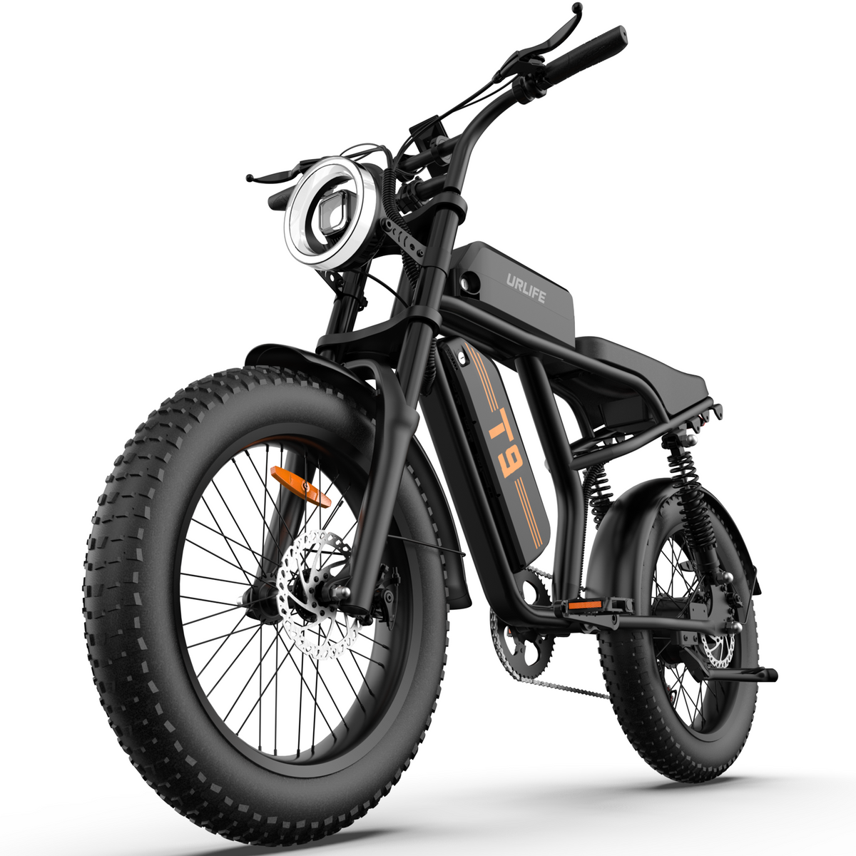 URLIFE T9 20" Vélo électrique tout-terrain 250W Moteur 48V 15.6Ah Batterie