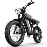 URLIFE T9 20" Vélo électrique tout-terrain 250W Moteur 48V 15.6Ah Batterie