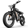 URLIFE T9 20" Vélo électrique tout-terrain 250W Moteur 48V 15.6Ah Batterie