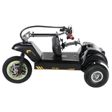TWOFISH TF03 12" Trottinette Electrique Pliable 350W Moteur 48V 15Ah Batterie