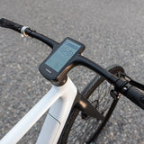 TEZEUS C8 38C" Vélo électrique de ville 250W Moteur 36V 10Ah Batterie