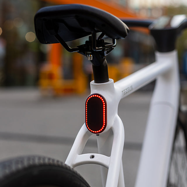 TEZEUS C8 38C" Vélo électrique de ville 250W Moteur 36V 10Ah Batterie