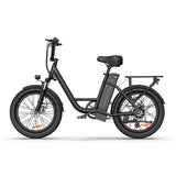 URLIFE E20 Vélo électrique 20 pouces à cadre bas Moteur 250W 48V 13Ah Batterie(EU edition)