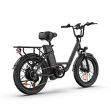 URLIFE E20 Vélo électrique 20 pouces à cadre bas Moteur 250W 48V 13Ah Batterie(EU edition)