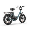 URLIFE E20 Vélo électrique 20 pouces à cadre bas Moteur 250W 48V 13Ah Batterie(EU edition)