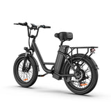 URLIFE E20 Vélo électrique 20 pouces à cadre bas Moteur 250W 48V 13Ah Batterie(EU edition)