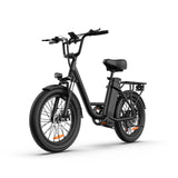 URLIFE E20 Vélo électrique 20 pouces à cadre bas Moteur 250W 48V 13Ah Batterie(EU edition)