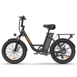 URLIFE E20 Vélo électrique 20 pouces à cadre bas Moteur 250W 48V 13Ah Batterie(EU edition)