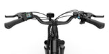 URLIFE E26 Vélo Électrique 26 Pouces à Cadre Bas Moteur 250W 36V 13Ah Batterie(EU edition)