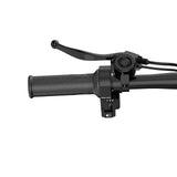 URLIFE F1L Vélo Électrique Pliable 14 Pouces – Moteur 250W, Batterie 48V 7,5Ah
