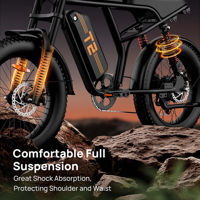 URLIFE T2 20" Vélo électrique tout-terrain 250W Moteur 48V 15.6Ah Batterie