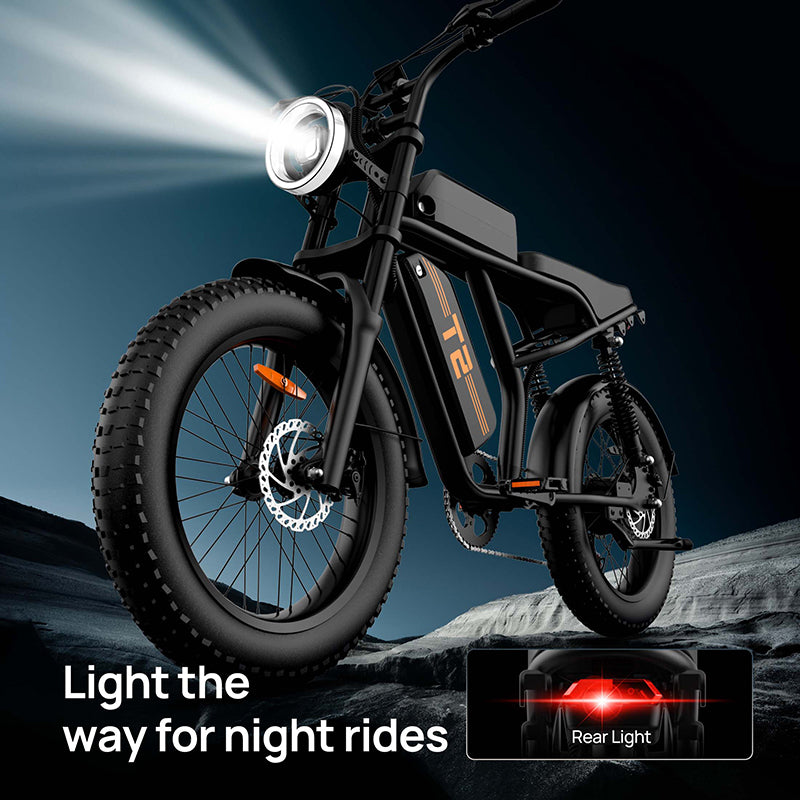 URLIFE T2 20" Vélo électrique tout-terrain 250W Moteur 48V 15.6Ah Batterie