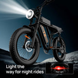 URLIFE T2 20" Vélo électrique tout-terrain 250W Moteur 48V 15.6Ah Batterie