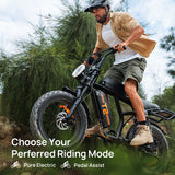 URLIFE T2 20" Vélo électrique tout-terrain 250W Moteur 48V 15.6Ah Batterie