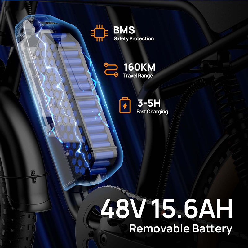 URLIFE T2 20" Vélo électrique tout-terrain 250W Moteur 48V 15.6Ah Batterie