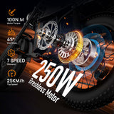 URLIFE T2 20" Vélo électrique tout-terrain 250W Moteur 48V 15.6Ah Batterie