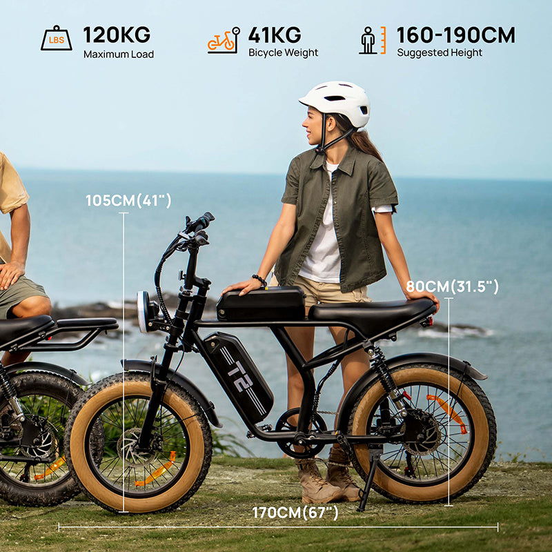 URLIFE T2 20" Vélo électrique tout-terrain 250W Moteur 48V 15.6Ah Batterie