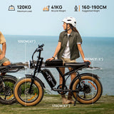 URLIFE T2 20" Vélo électrique tout-terrain 250W Moteur 48V 15.6Ah Batterie