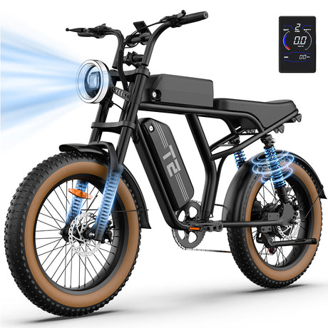 URLIFE T2 20" Vélo électrique tout-terrain 250W Moteur 48V 15.6Ah Batterie