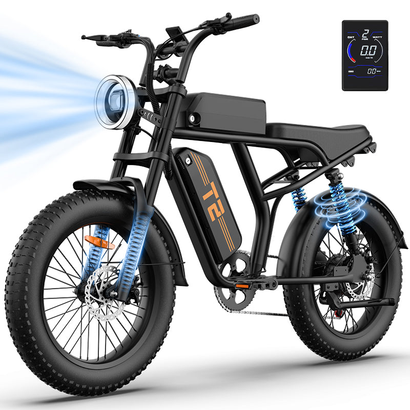URLIFE T2 20" Vélo électrique tout-terrain 250W Moteur 48V 15.6Ah Batterie