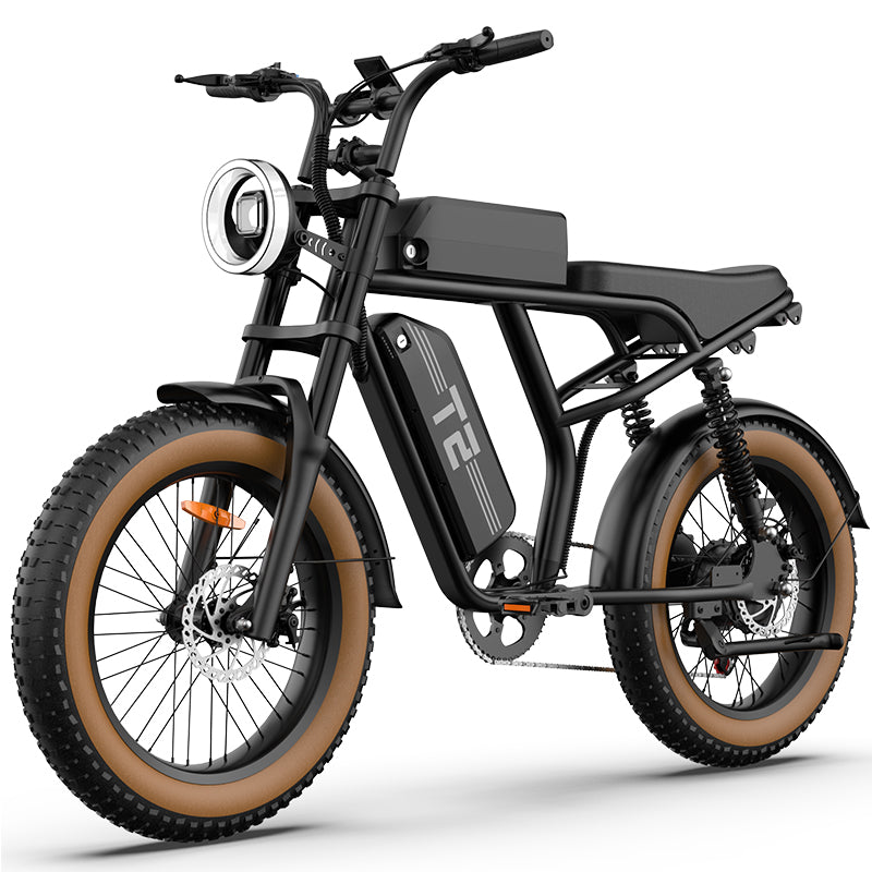 URLIFE T2 20" Vélo électrique tout-terrain 250W Moteur 48V 15.6Ah Batterie