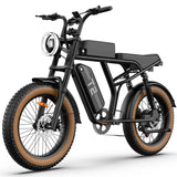 URLIFE T2 20" Vélo électrique tout-terrain 250W Moteur 48V 15.6Ah Batterie