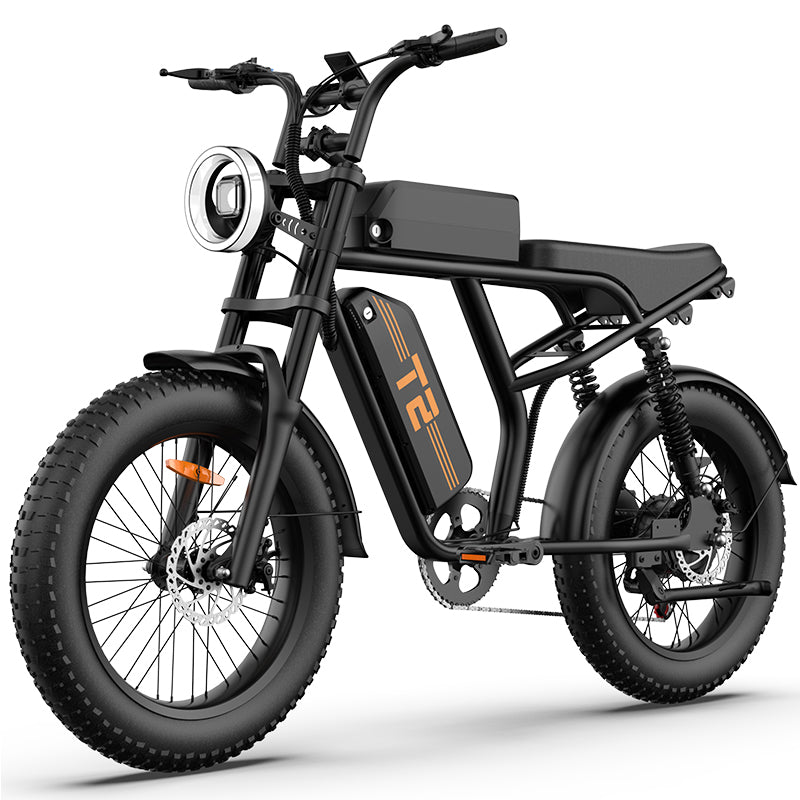 URLIFE T2 20" Vélo électrique tout-terrain 250W Moteur 48V 15.6Ah Batterie
