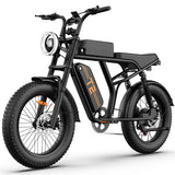 URLIFE T2 20" Vélo électrique tout-terrain 250W Moteur 48V 15.6Ah Batterie