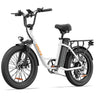 URLIFE E20 20"Vélo électrique à cadre ouvert 250W Moteur 48V 13Ah Batterie(EU edition)
