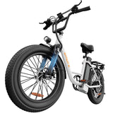 URLIFE E20 20"Vélo électrique à cadre ouvert 250W Moteur 48V 13Ah Batterie(EU edition)