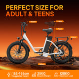URLIFE E20 20"Vélo électrique à cadre ouvert 250W Moteur 48V 13Ah Batterie(EU edition)
