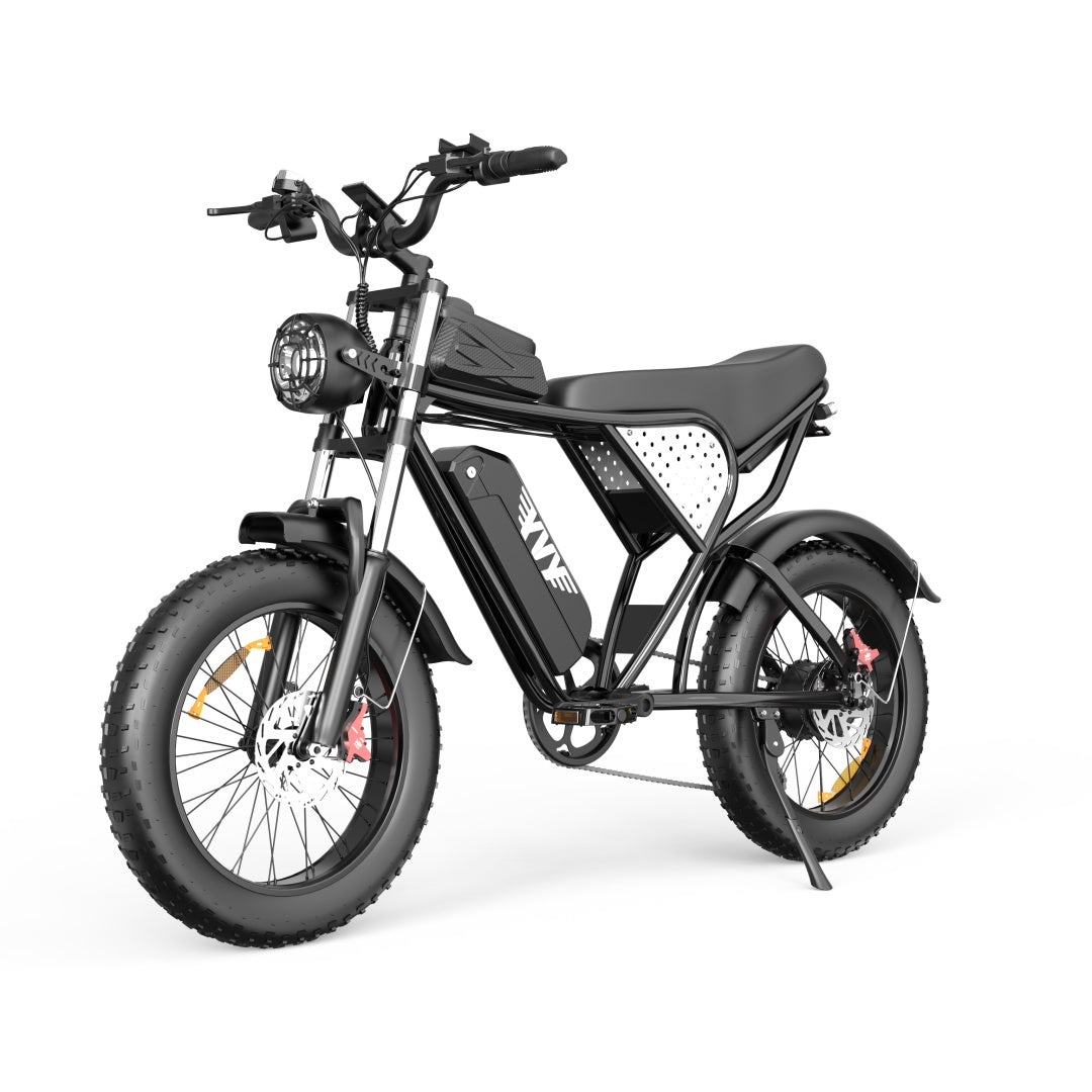YVY C20(Q20) 20" Fat Tires Vélo électrique 1000W Moteur 48V 20Ah Batterie