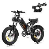 AILIFE X20B 20" Vélo électrique 1000W Moteur 48V 15Ah Batterie