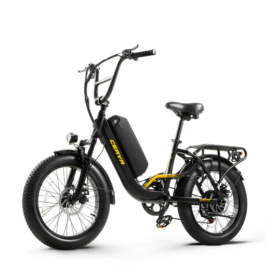 CEAYA R8SE 20" Vélo électrique urbain 750W Moteur 48V 15Ah Batterie