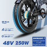 Engwe EP-2 Pro 20" Fat Tire Vélo électrique pliant 250W Moteur 48V 13Ah Batterie