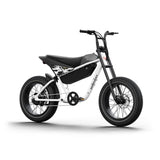 HIMIWAY C5 20" Moto électrique 750W Moteur 48V 20Ah Batterie