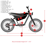 Himiway C5 20" Moto électrique 750W Moteur 48V 20Ah Batterie