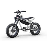 HIMIWAY C5 20" Moto électrique 750W Moteur 48V 20Ah Batterie