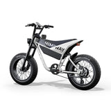 HIMIWAY C5 20" Moto électrique 750W Moteur 48V 20Ah Batterie