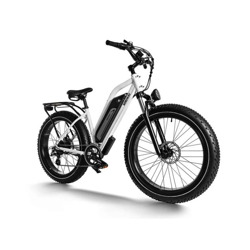 HIMIWAY D3 ST (Cruiser ST) 26" Vélo électrique tout-terrain Step Thru 750W Moteur 48V 15Ah Batterie