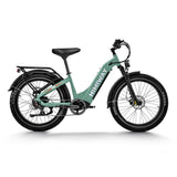 Himiway D5 ST(Zebra ST) 26" Fat Tire All-terrain Vélo électrique 750W Moteur 48V 20Ah Batterie