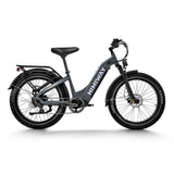 HIMIWAY D5 ST (Zebra ST) 26" Fat Tire All-terrain Vélo électrique 750W Moteur 48V 20Ah Batterie